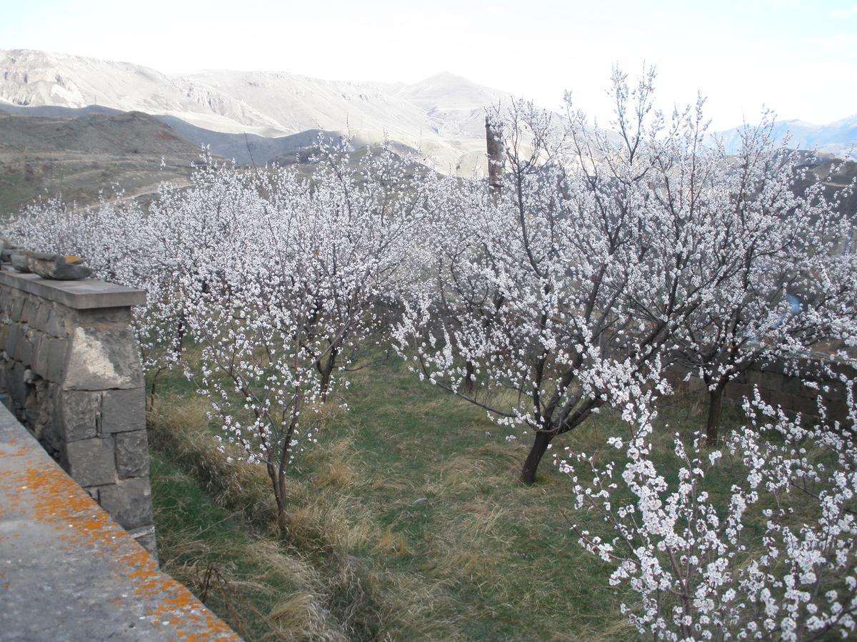 Ave Zara Bed and Breakfast Vagudy Εξωτερικό φωτογραφία