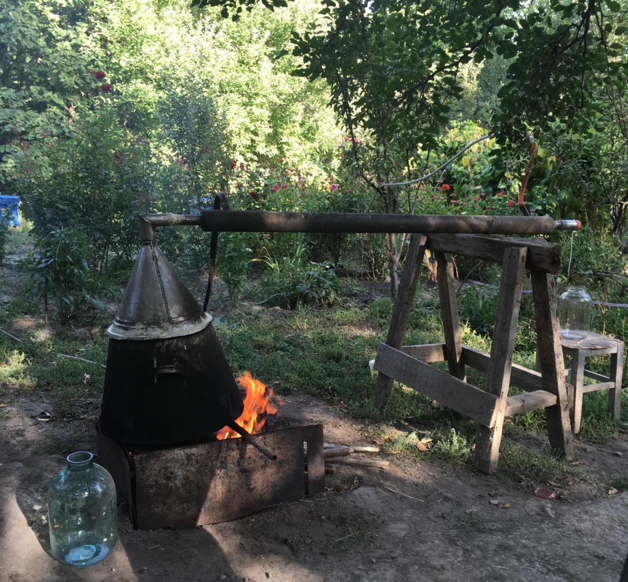 Ave Zara Bed and Breakfast Vagudy Εξωτερικό φωτογραφία