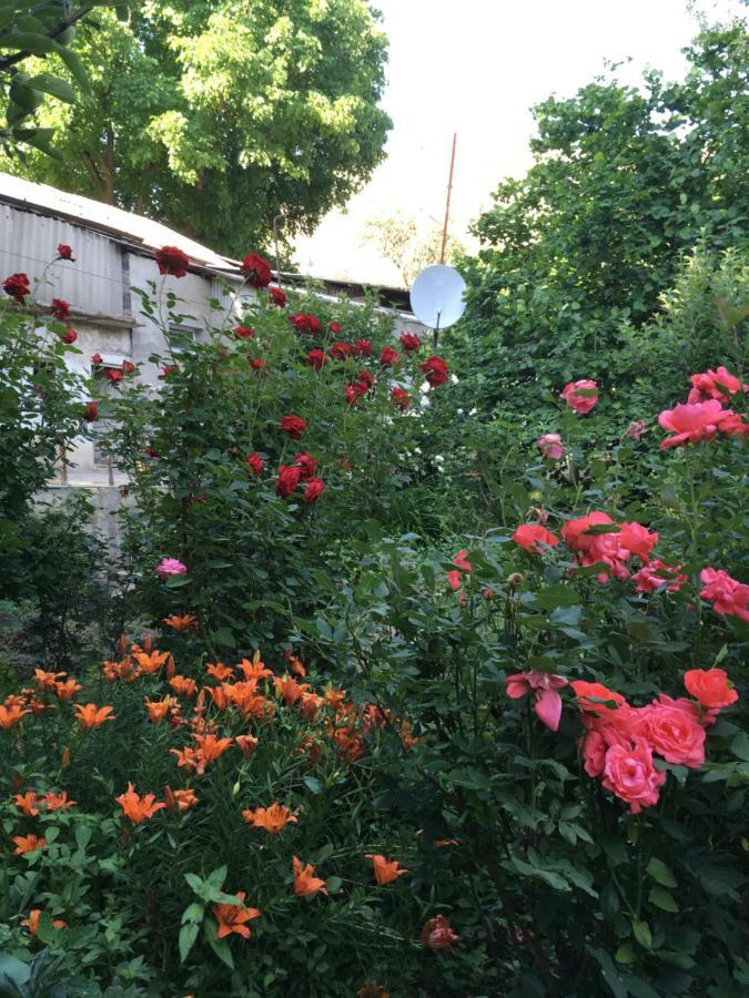 Ave Zara Bed and Breakfast Vagudy Εξωτερικό φωτογραφία